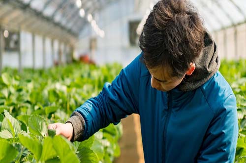 Contech Agriculture Machine